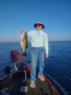 Fishing in Windermere, Florida