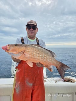 Fishing in Gulfport, Florida