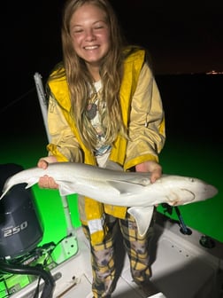 Fishing in Matlacha, Florida