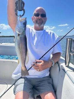 Fishing in Port Orange, Florida