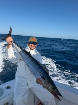 Fishing in North Miami, Florida