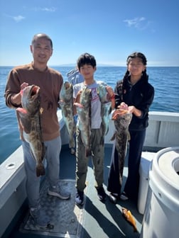Fishing in Marina del Rey, California