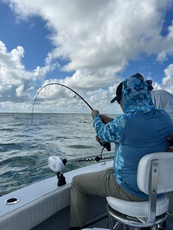 Fishing in Boca Grande, Florida
