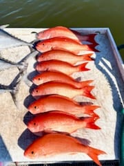 Fishing in Stuart, Florida