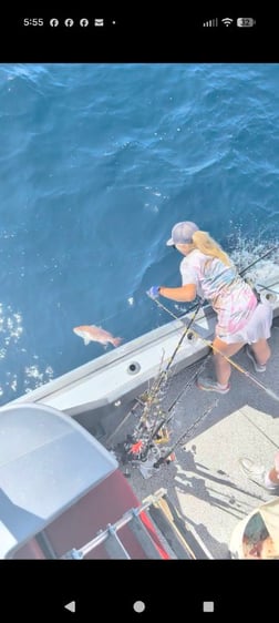 Fishing in Orange Beach, Alabama