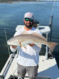 Fishing in St. Petersburg, Florida