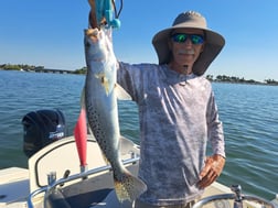 Fishing in St. Petersburg, Florida