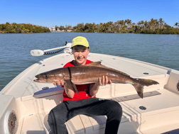 Fishing in Sarasota, Florida