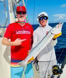 Barracuda fishing in Key West, Florida