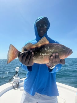 Fishing in Largo, Florida