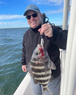 Florida Pompano, Sheepshead Fishing in Sarasota, Florida