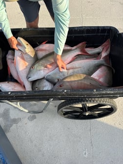 Fishing in Key West, Florida