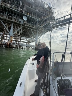 Fishing in Gulf Shores, Alabama