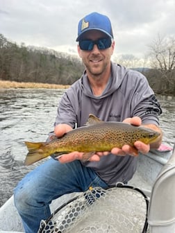 Rainbow Trout Fishing in Leicester, North Carolina