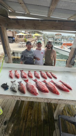 Fishing in Pensacola Beach, Florida