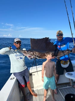 Blue Marlin Fishing in Punta Cana, Dominican Republic