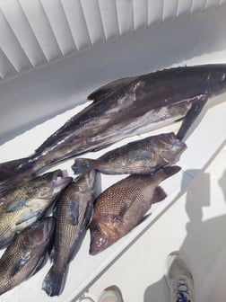 Fishing in Wrightsville Beach, North Carolina