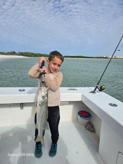 Fishing in St. Petersburg, Florida