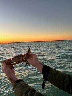 Fishing in Matlacha, Florida