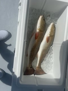 Fishing in Saint James City, Florida