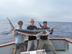 Fishing in San Diego, California