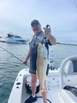 Fishing in Orange Beach, Alabama
