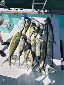Fishing in Destin, Florida