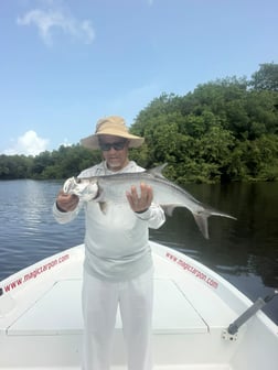 Fishing in Carolina, Puerto Rico