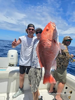 Fishing in St. Petersburg, Florida