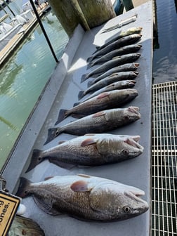 Fishing in St. Augustine, Florida
