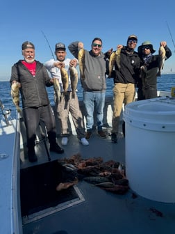 Fishing in Marina del Rey, California