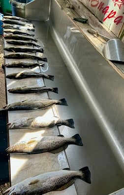 Fishing in D'Iberville, Mississippi