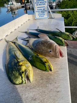 Fishing in Key West, Florida