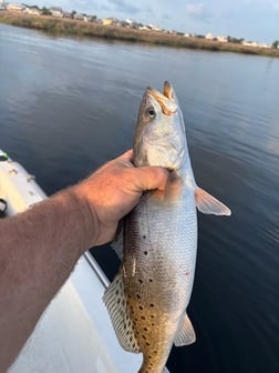Fishing in Bay St. Louis, Mississippi