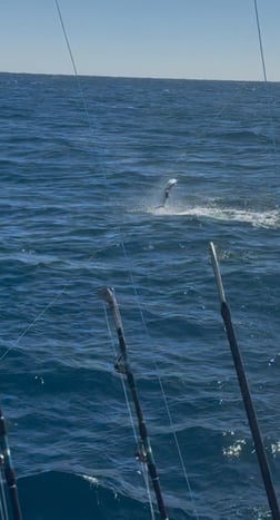Fishing in Riviera Beach, Florida