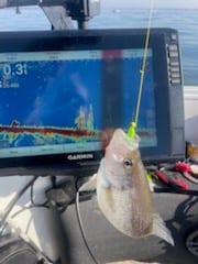 Fishing in Willis, Texas