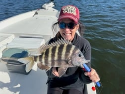 Fishing in St. Petersburg, Florida