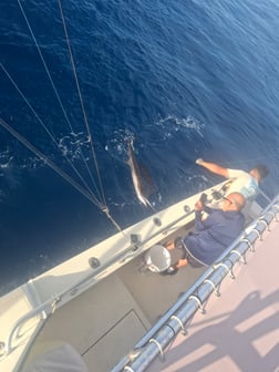 Fishing in South Padre Island, Texas