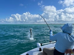 Fishing in Boca Grande, Florida