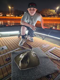 Fishing in Tampa, Florida