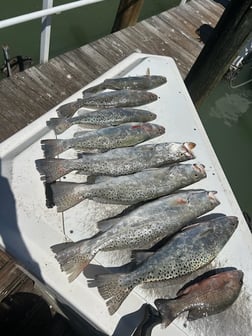 Fishing in Marco Island, Florida