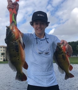 Fishing in Delray Beach, Florida