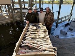 Fishing in New Orleans, Louisiana