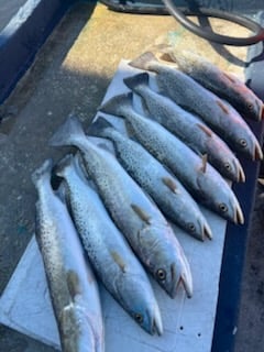 Fishing in Tarpon Springs, Florida