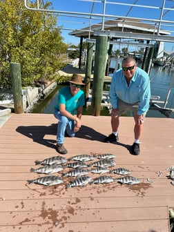 Fishing in Matlacha, Florida
