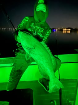 Fishing in St. Petersburg, Florida