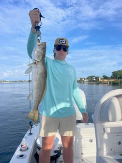 Speckled Trout fishing in