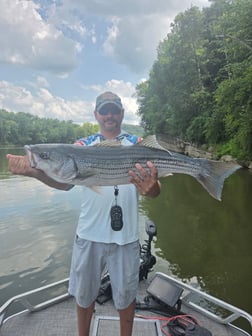 Fishing in Mt. Juliet, Tennessee