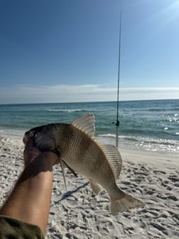 Fishing in Santa Rosa Beach, Florida