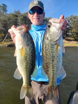 Fishing in Killeen, Texas